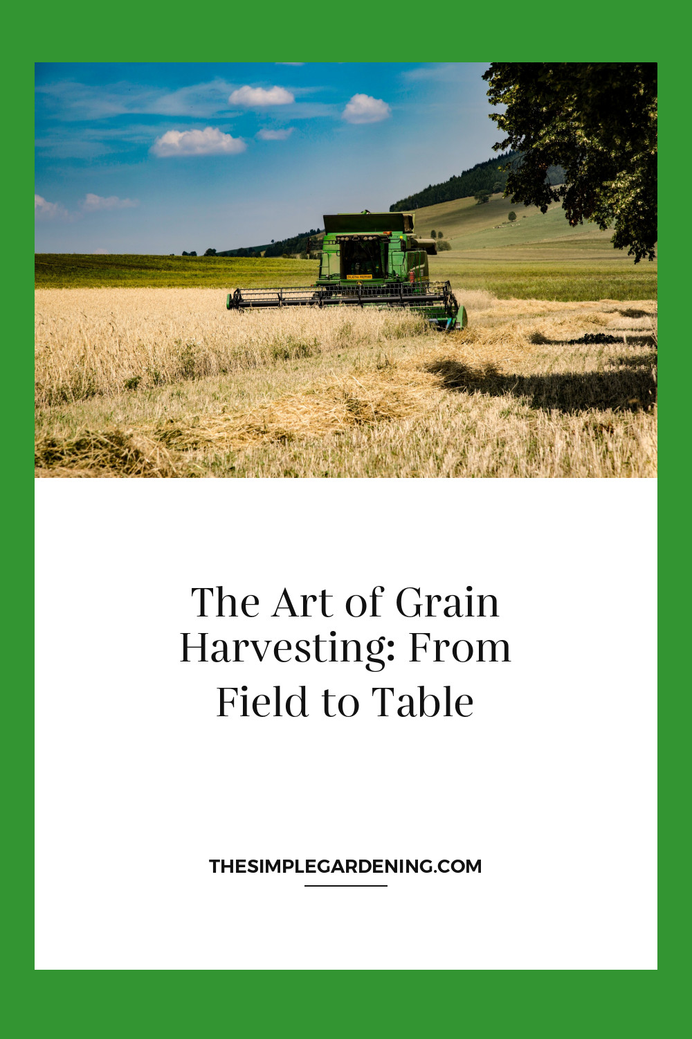 The Art of Grain Harvesting: From Field to Table